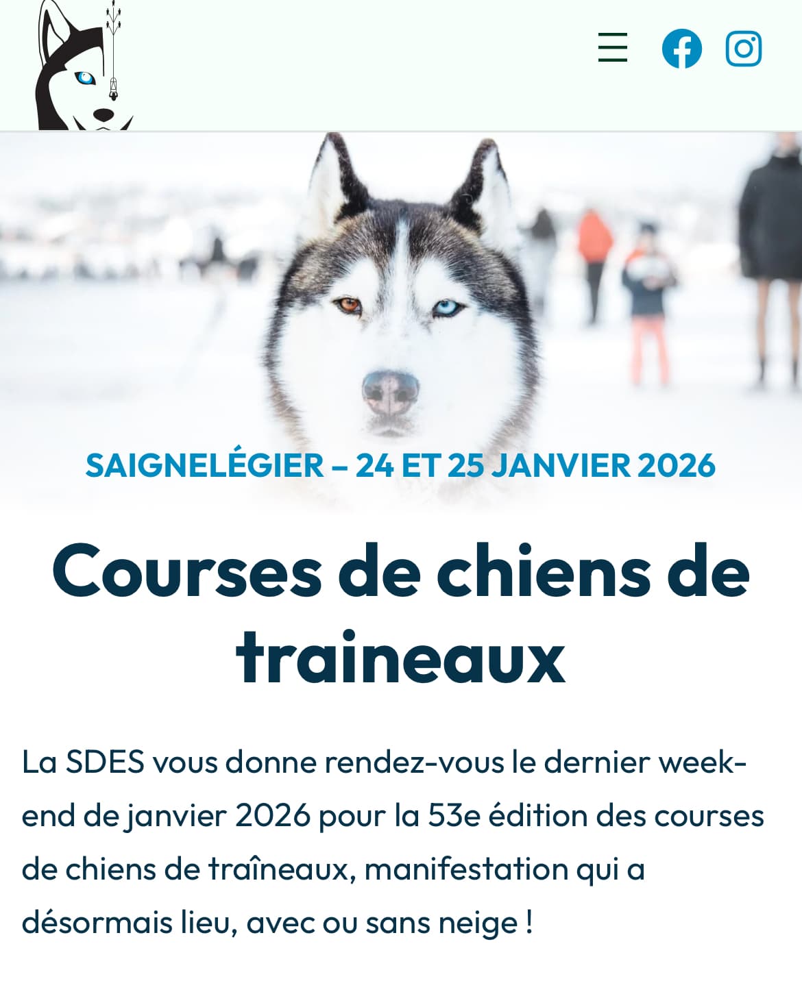 Chiens de traîneaux